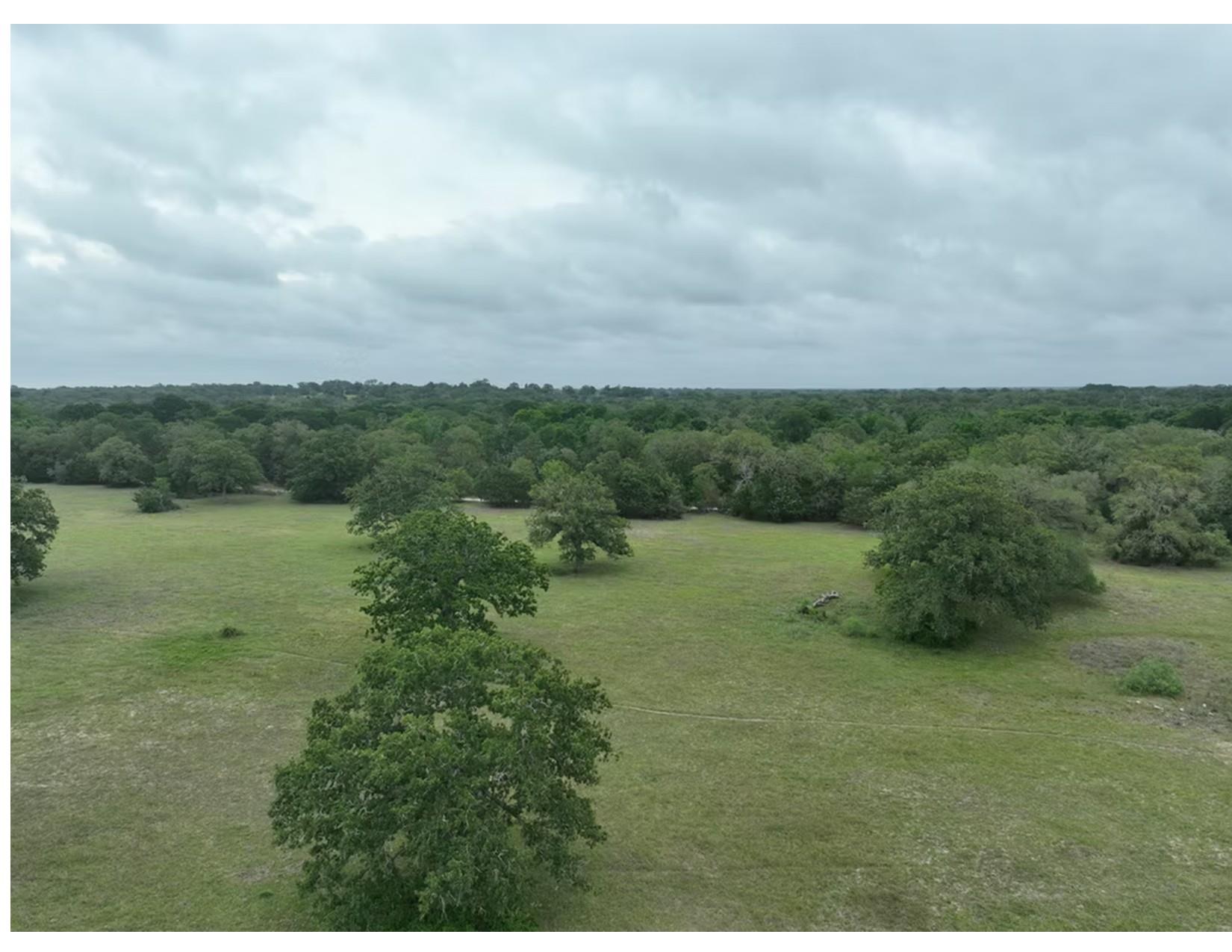 Lot 3 TBD CR 127 Rd, Ledbetter, TX 78946