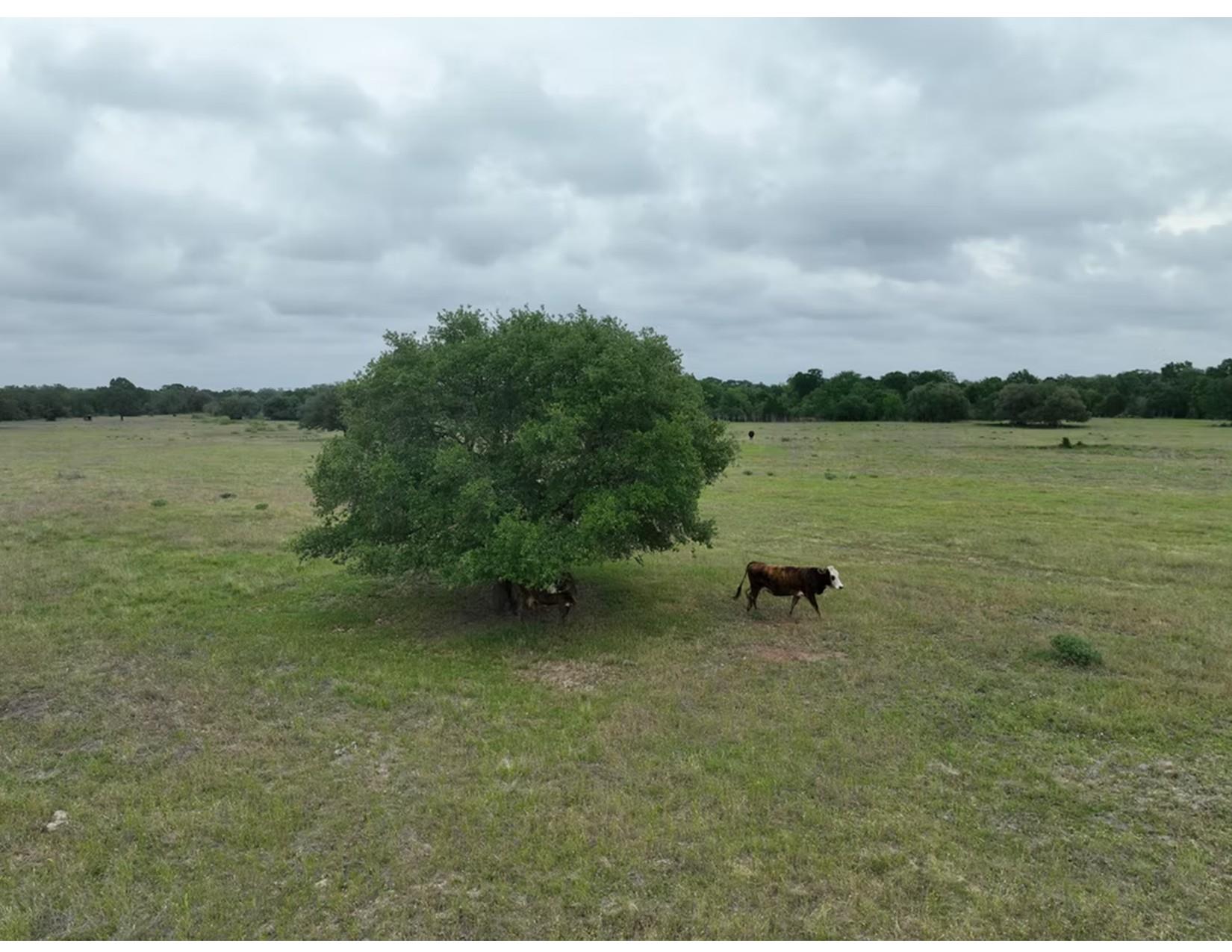 Lot 5 TBD County Road 127 Rd, Ledbetter, TX 78946