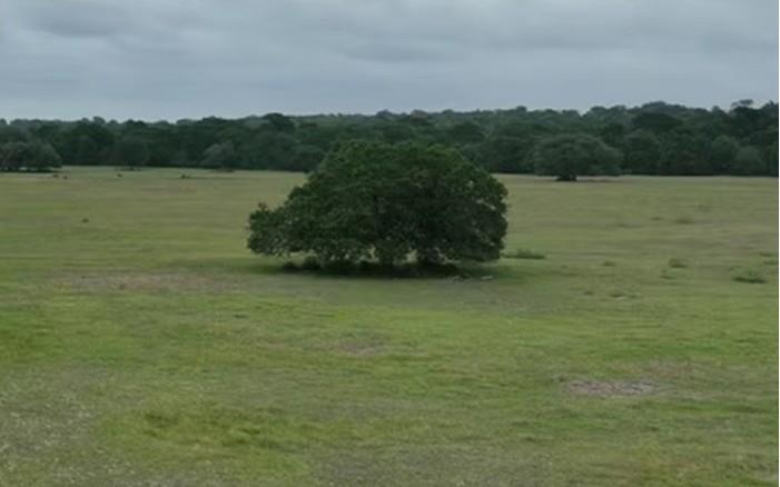 Lot 5 TBD County Road 127 Rd, Ledbetter, TX 78946