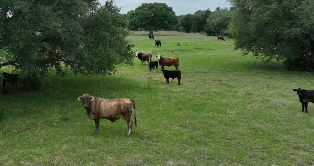 Lot 5 TBD County Road 127 Rd, Ledbetter, TX 78946