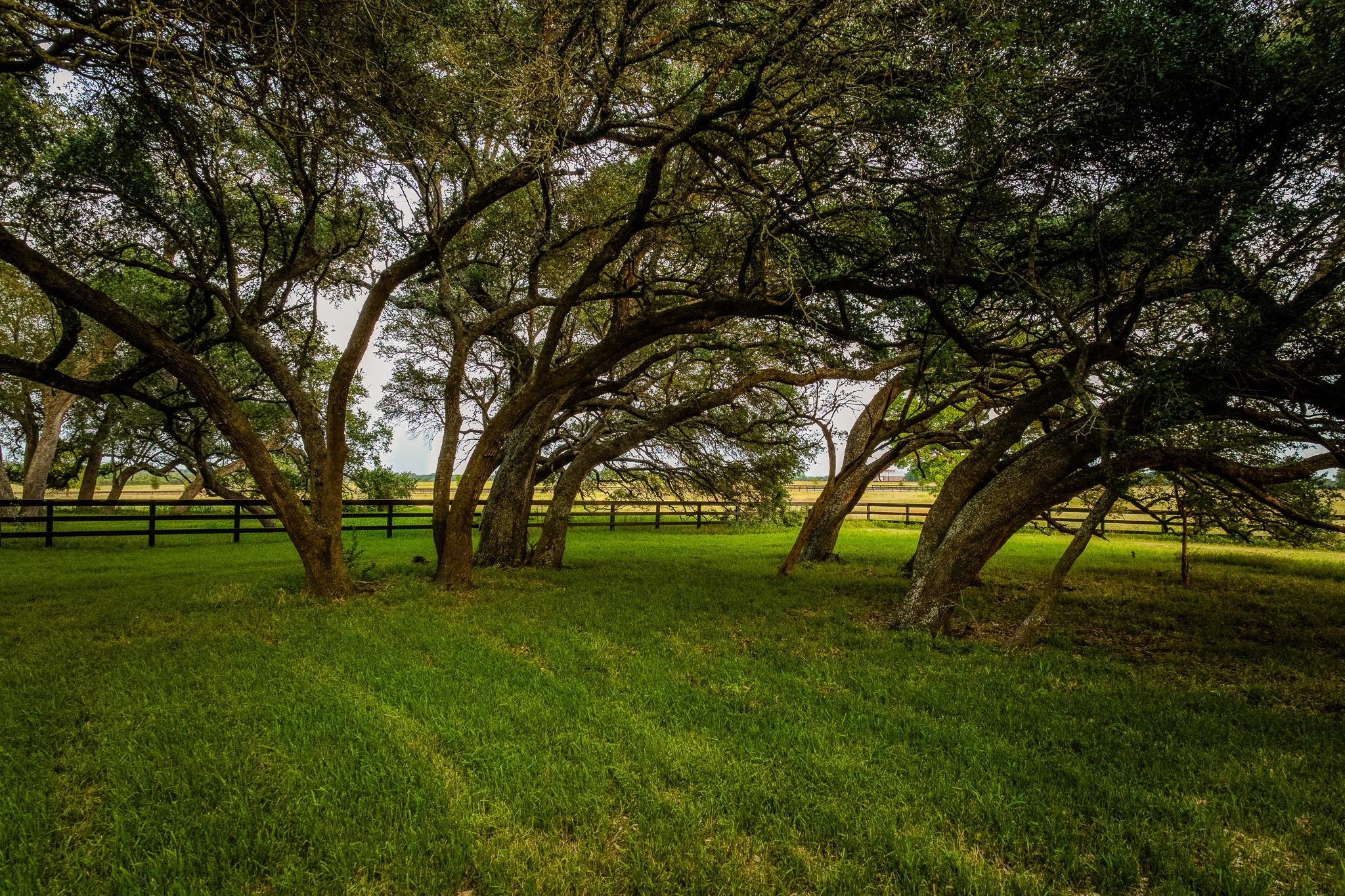 104 Hartfield Hill Ln, Round Top, TX 78954