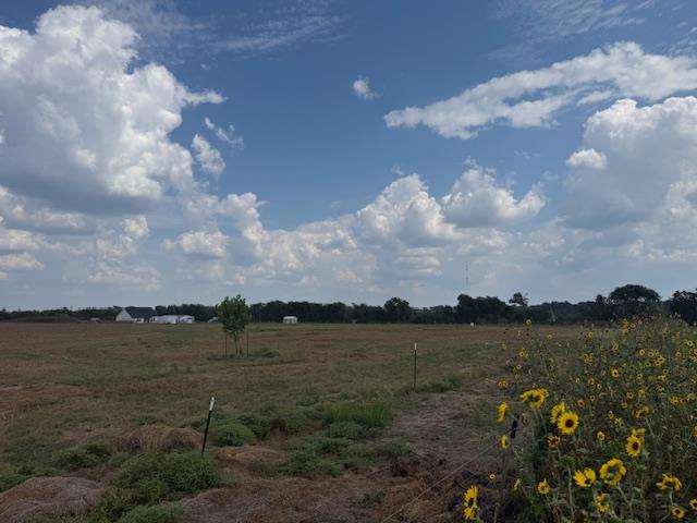 1079 Lomax Harmel Rd, Burton, TX 77835