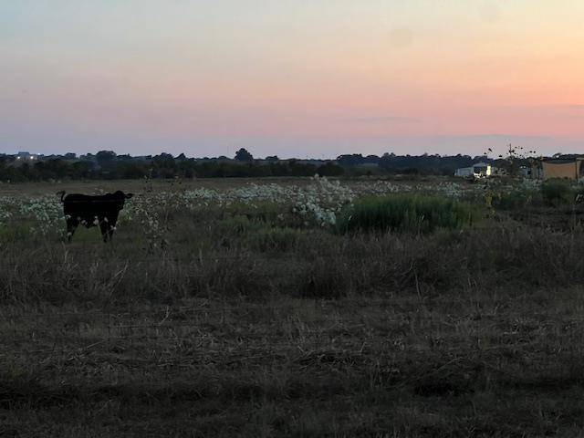 1079 Lomax Harmel Rd, Burton, TX 77835