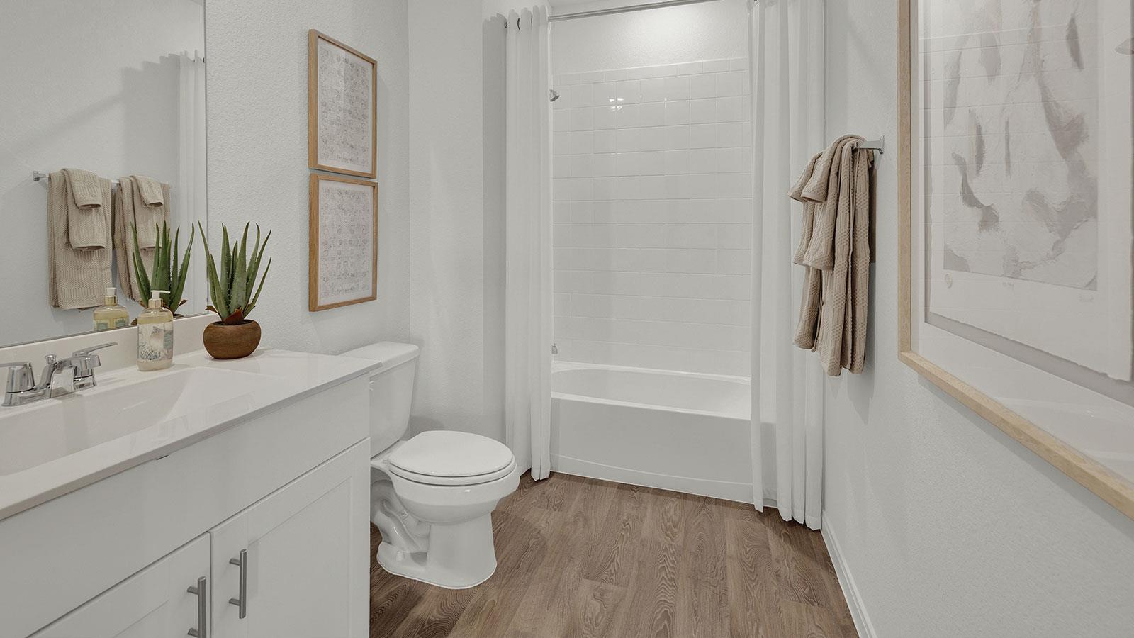 246 SHENANDOAH Dr, Kyle, TX 78640