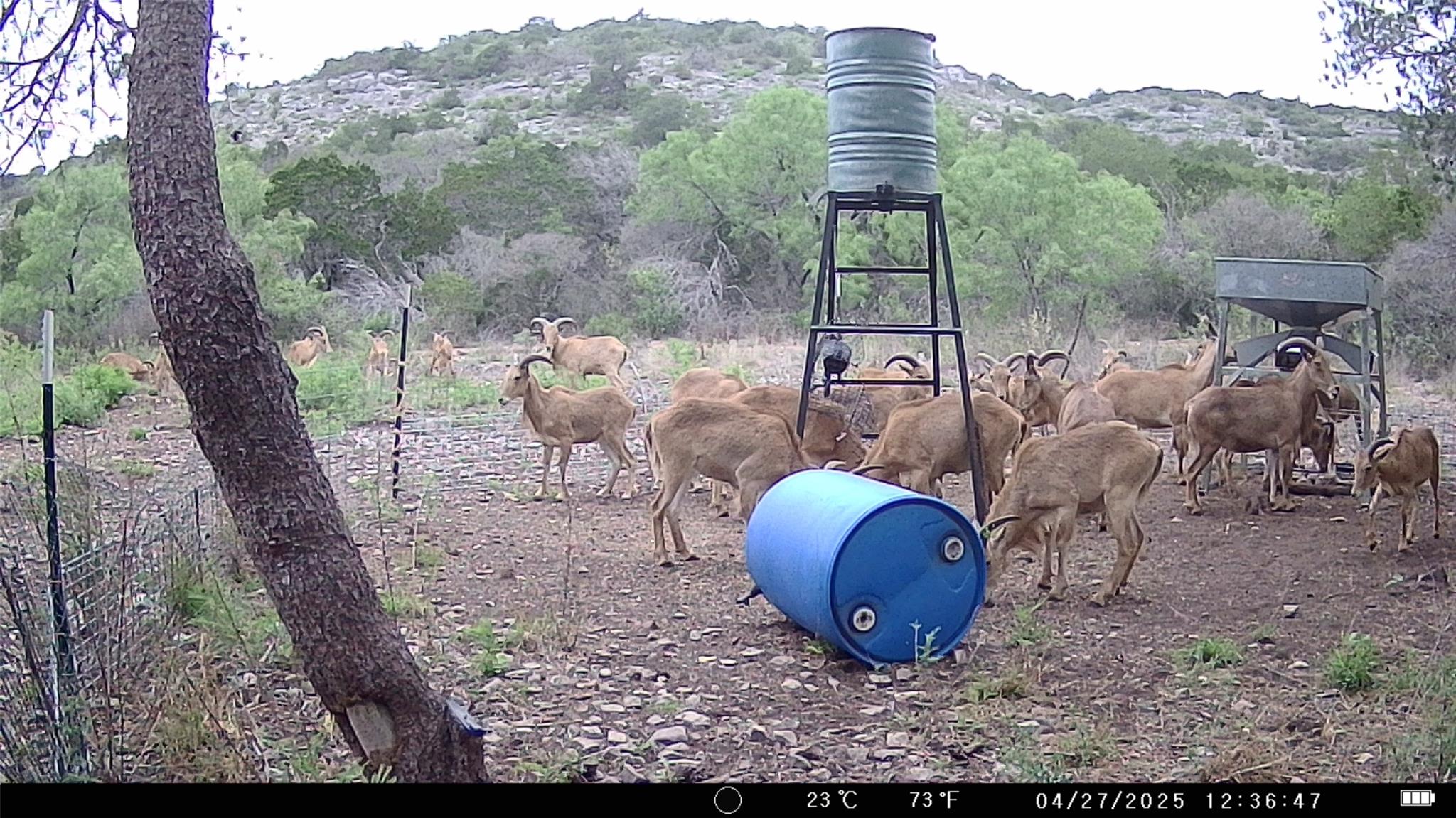 1922 SD 65071, Rocksprings, TX 78880