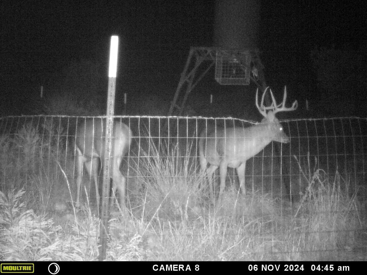 1922 SD 65071, Rocksprings, TX 78880