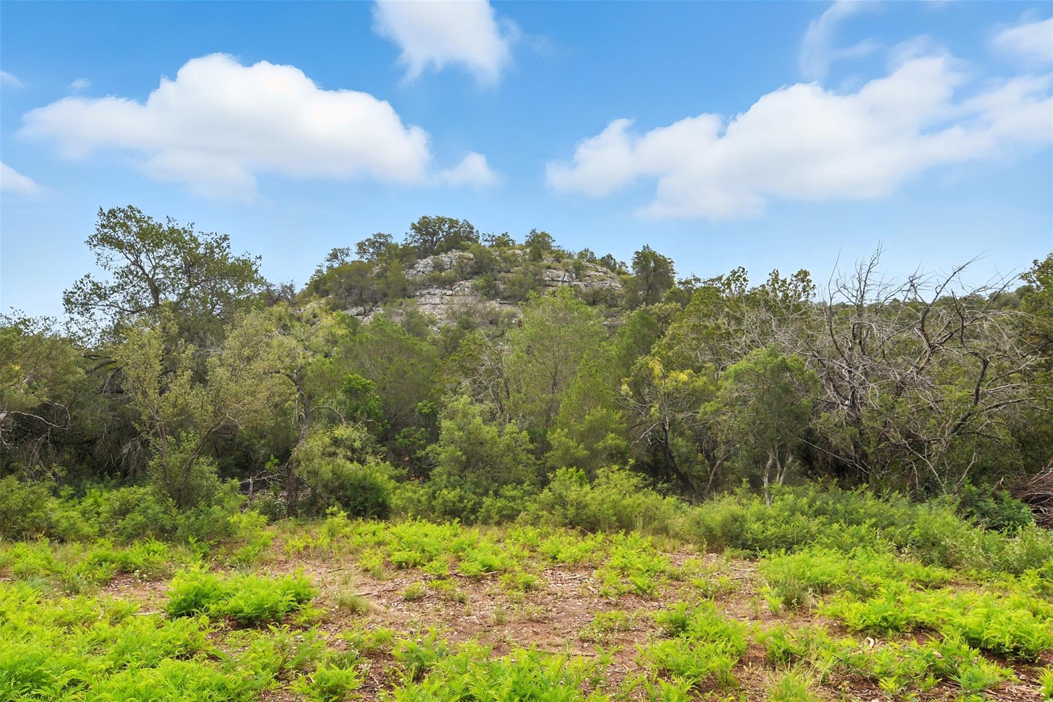 1922 SD 65071, Rocksprings, TX 78880