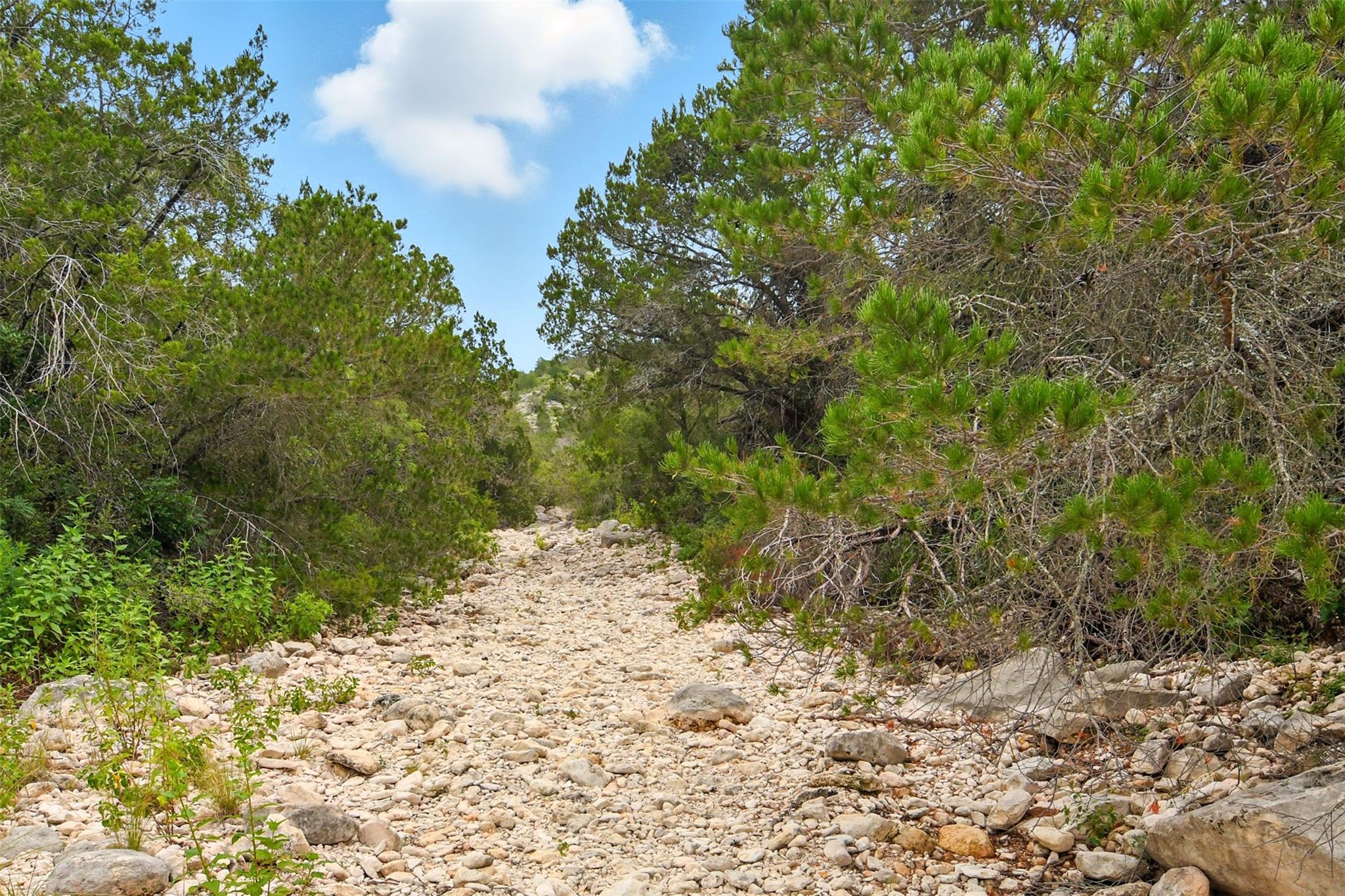 1922 SD 65071, Rocksprings, TX 78880