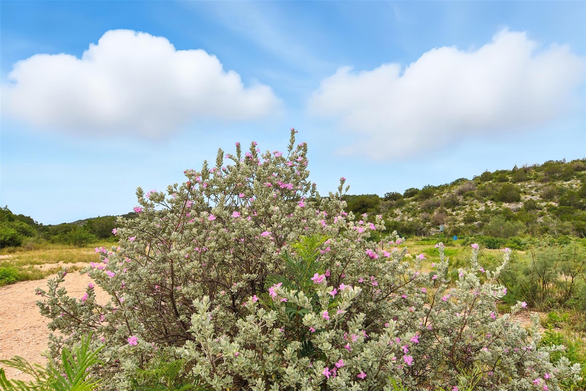 1922 SD 65071, Rocksprings, TX 78880