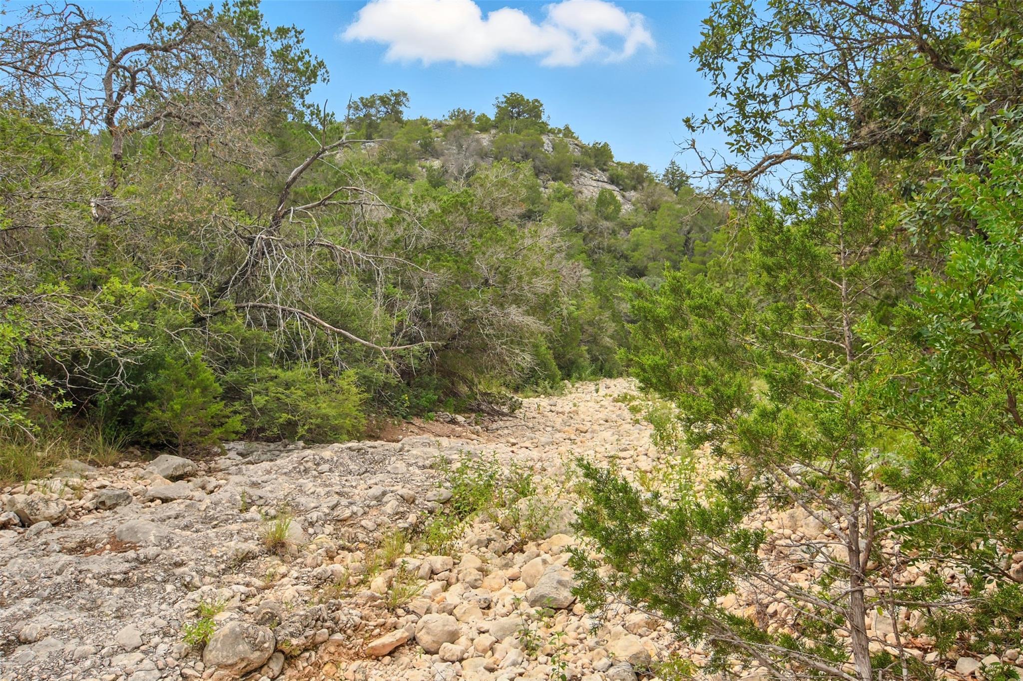 1922 SD 65071, Rocksprings, TX 78880