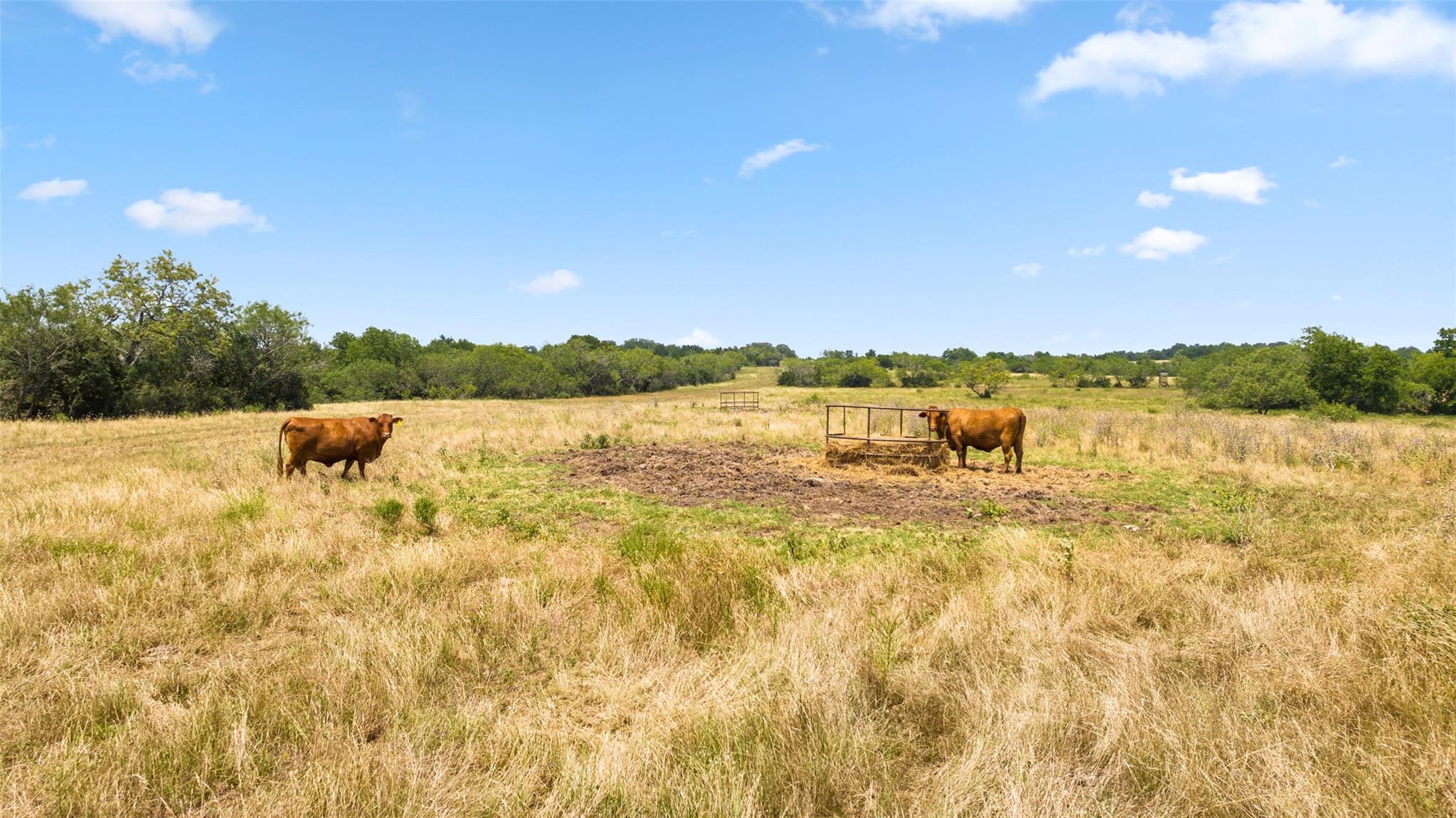 3575 Westwood Rd, Lockhart, TX 78644