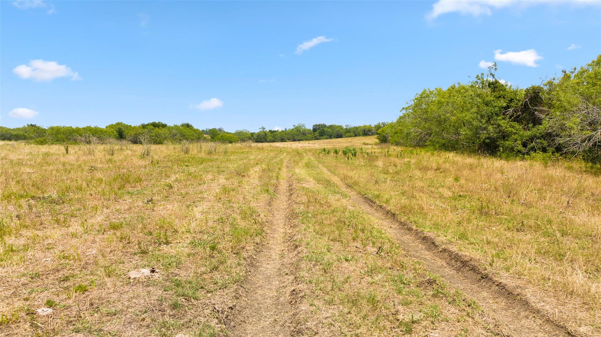 6035 State Park Rd, Lockhart, TX 78644