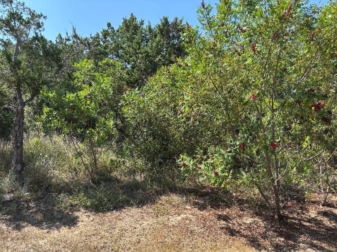 18009 NW Linkhill Dr, Dripping Springs, TX 78620