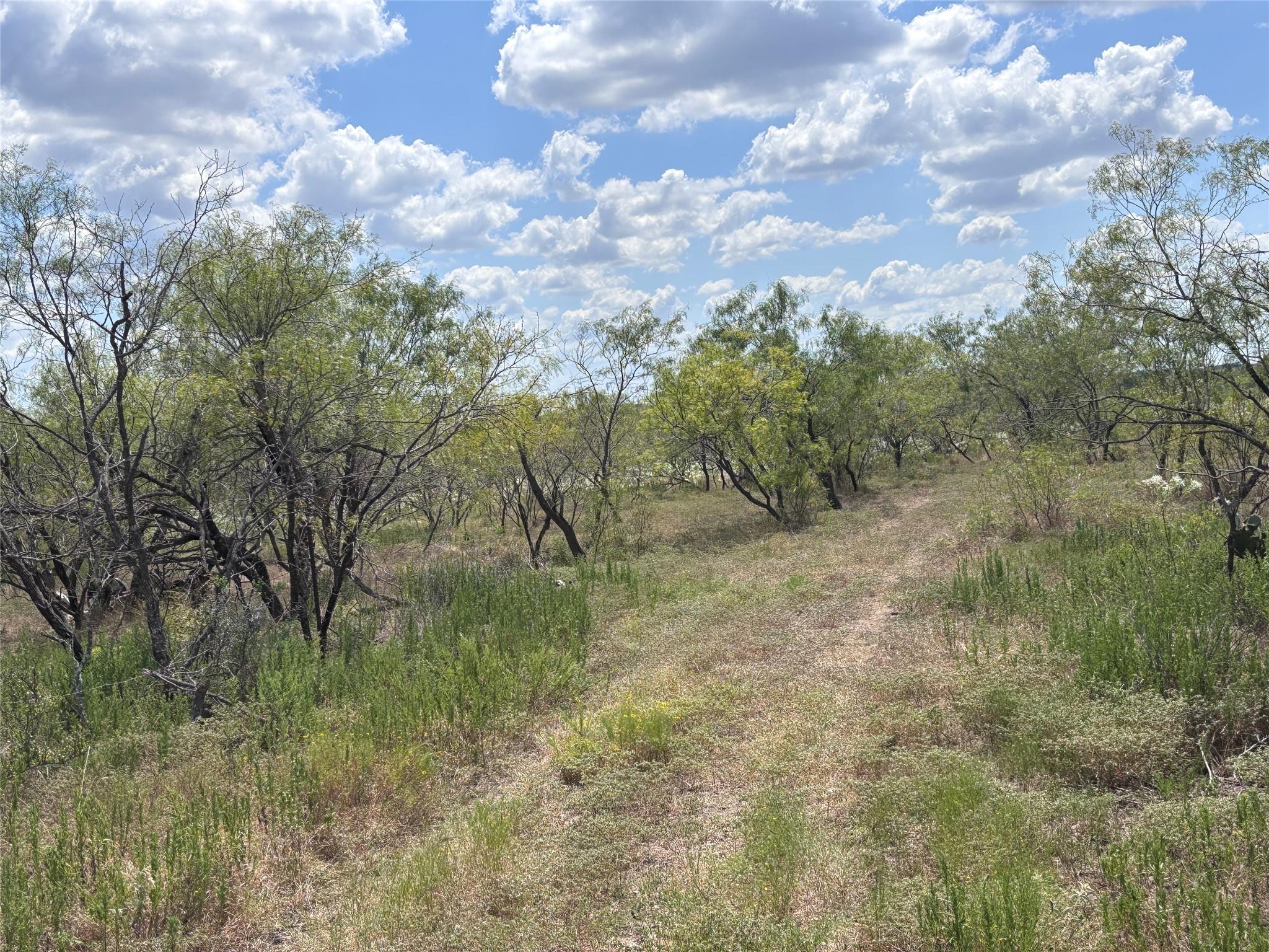 TBD 10.04 AC County Road 413, Thorndale, TX 76557