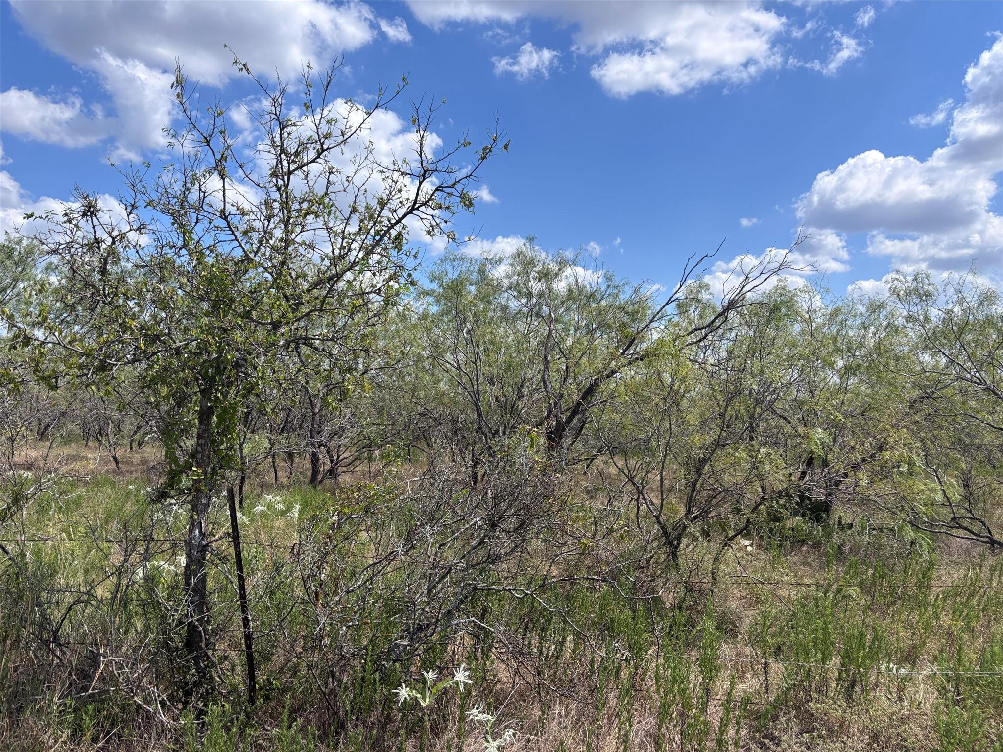 TBD 10.04 AC County Road 413, Thorndale, TX 76557