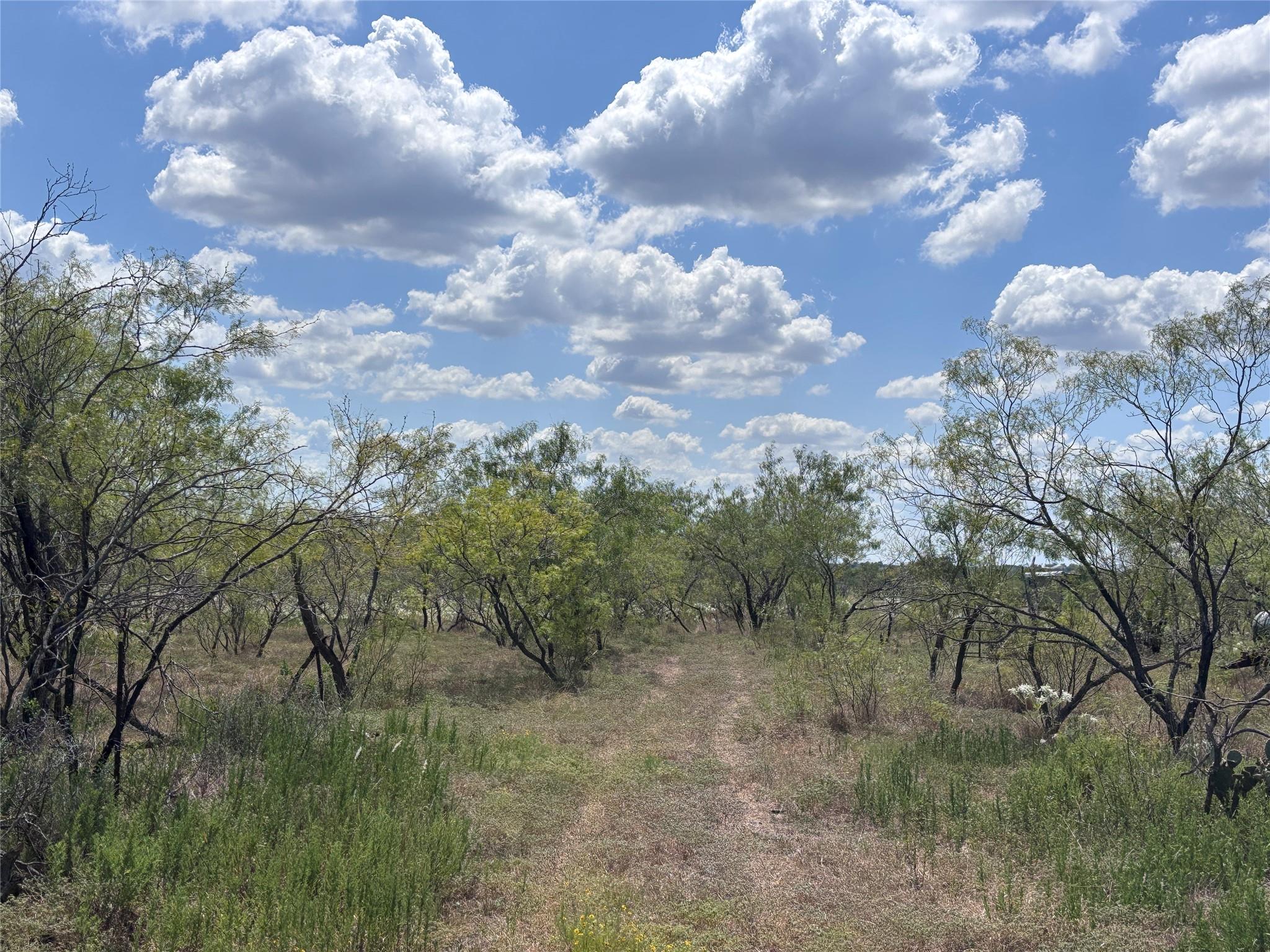 TBD 10.04 AC County Road 413, Thorndale, TX 76557