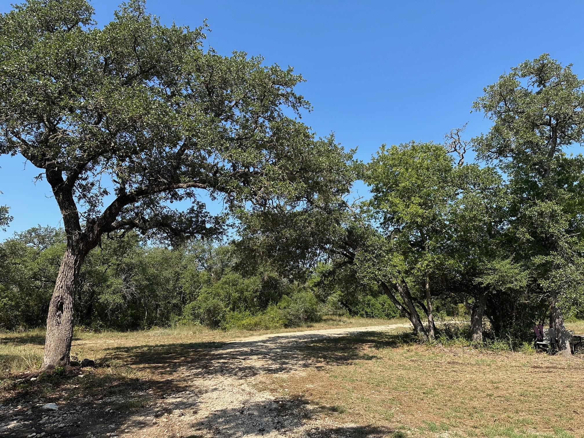 4000 State Highway 29 Highway, Bertram, TX 78605