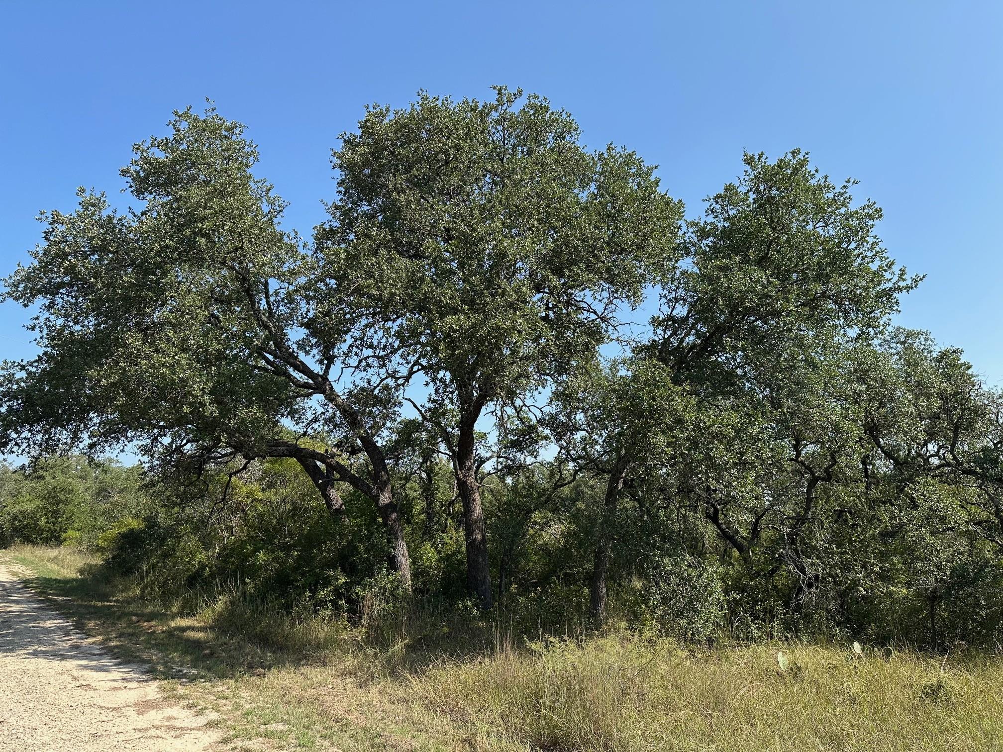 4000 State Highway 29 Highway, Bertram, TX 78605