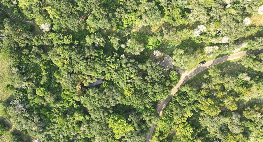 3960 County Road 324, Caldwell, TX 77836