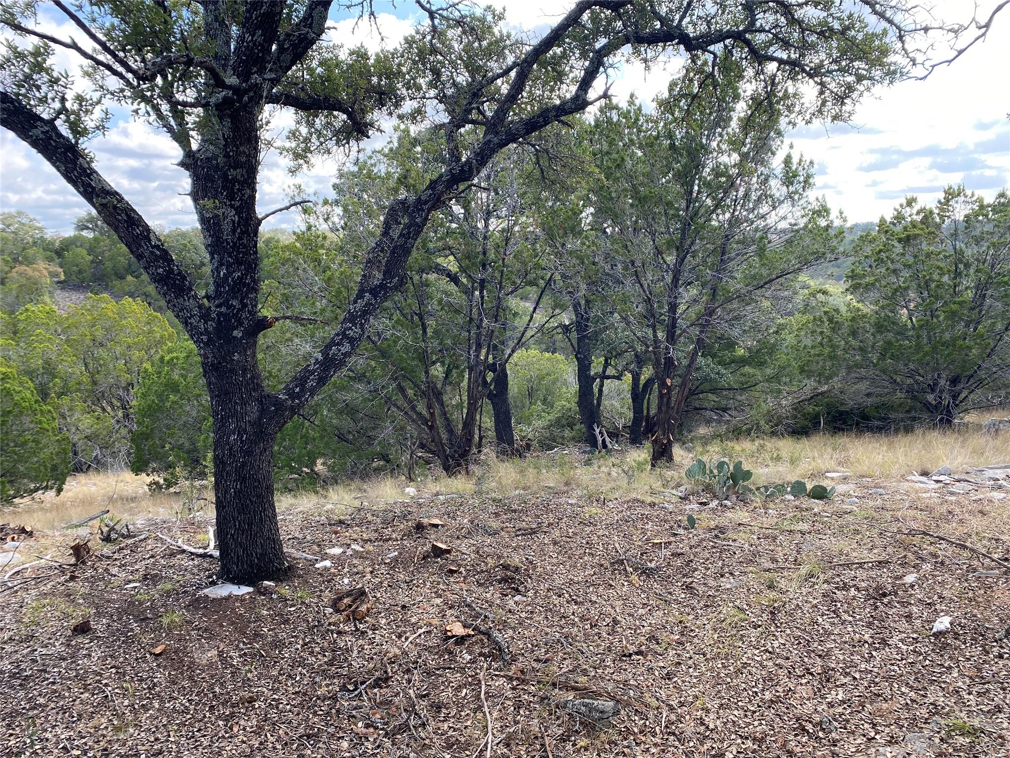 Lot 85, Seven Springs Spring Xing, Junction, TX 76849