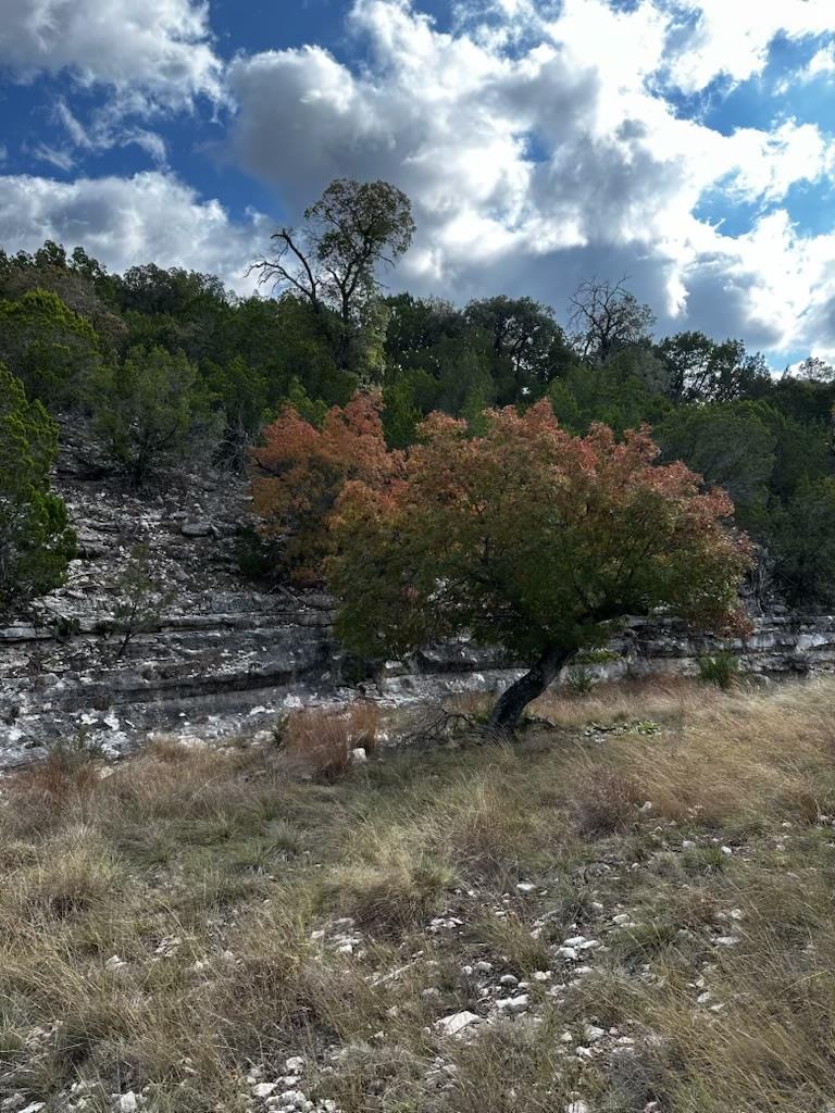Lot 85, Seven Springs Spring Xing, Junction, TX 76849