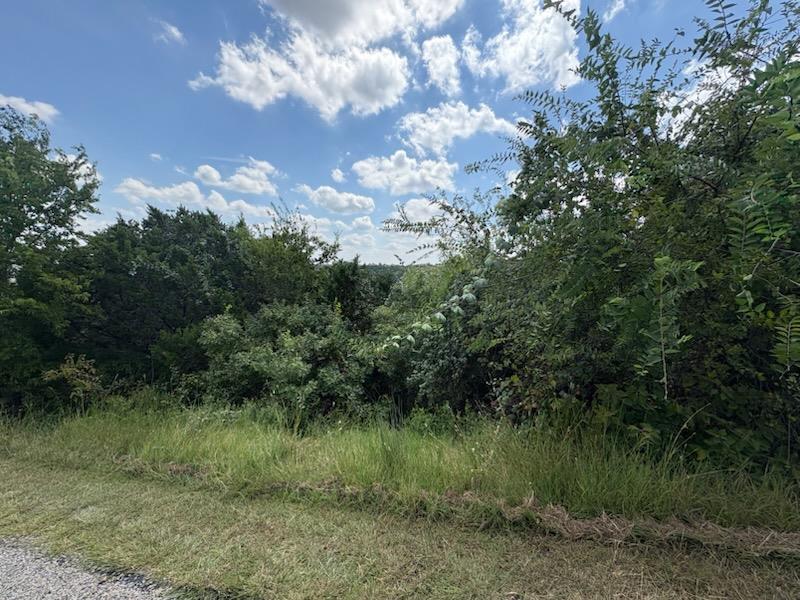 47 Balcones Ridge Way, Bertram, TX 78605