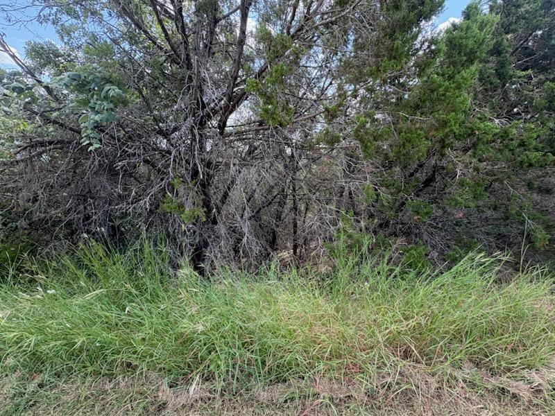 47 Balcones Ridge Way, Bertram, TX 78605