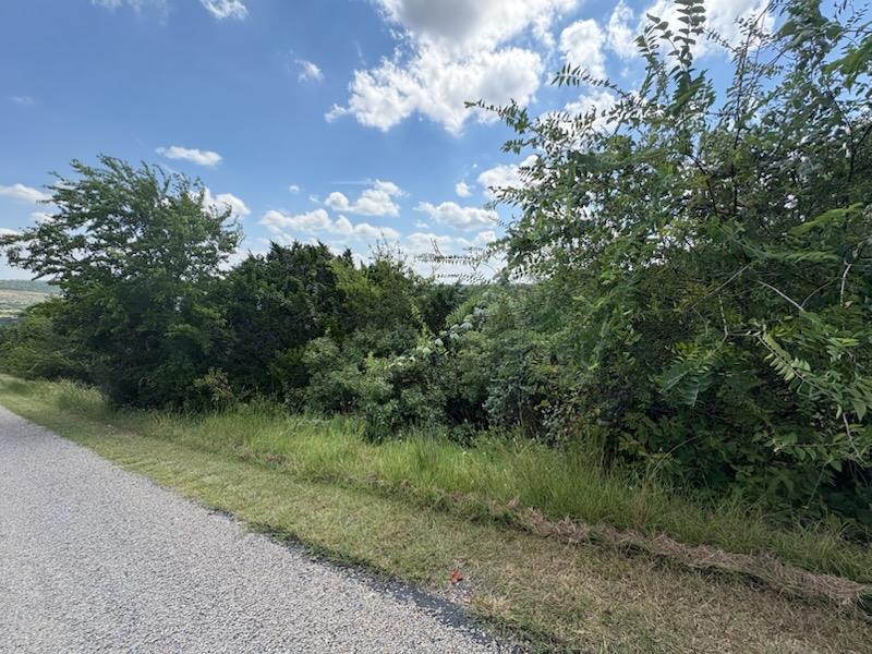 47 Balcones Ridge Way, Bertram, TX 78605