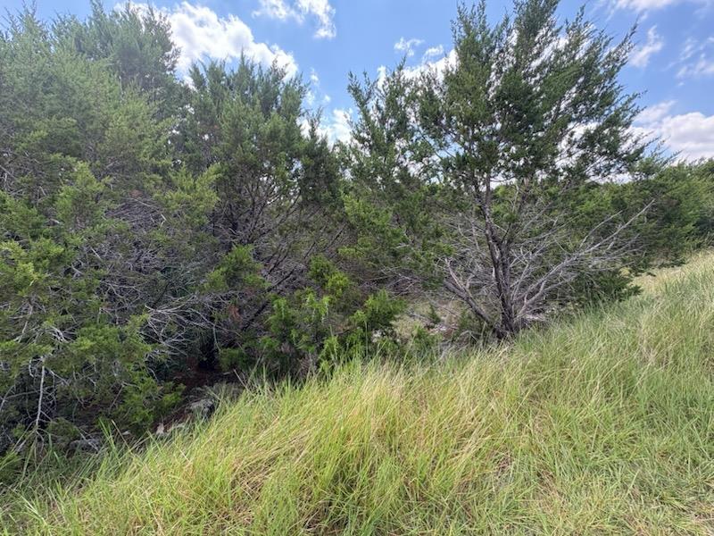 47 Balcones Ridge Way, Bertram, TX 78605