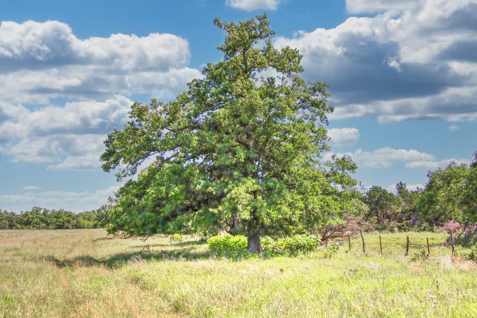 Lot 4 RM 1323, Willow City, TX 78675