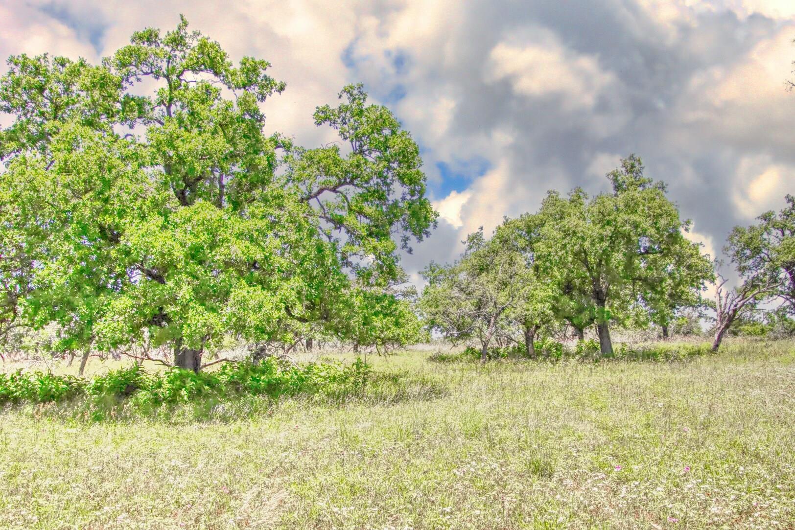 Lot 4 RM 1323, Willow City, TX 78675