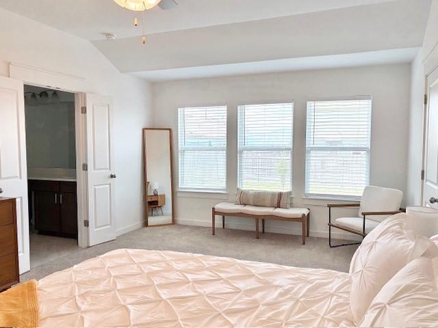 15308 Grenadine Bloom Cv, Del Valle, TX 78617