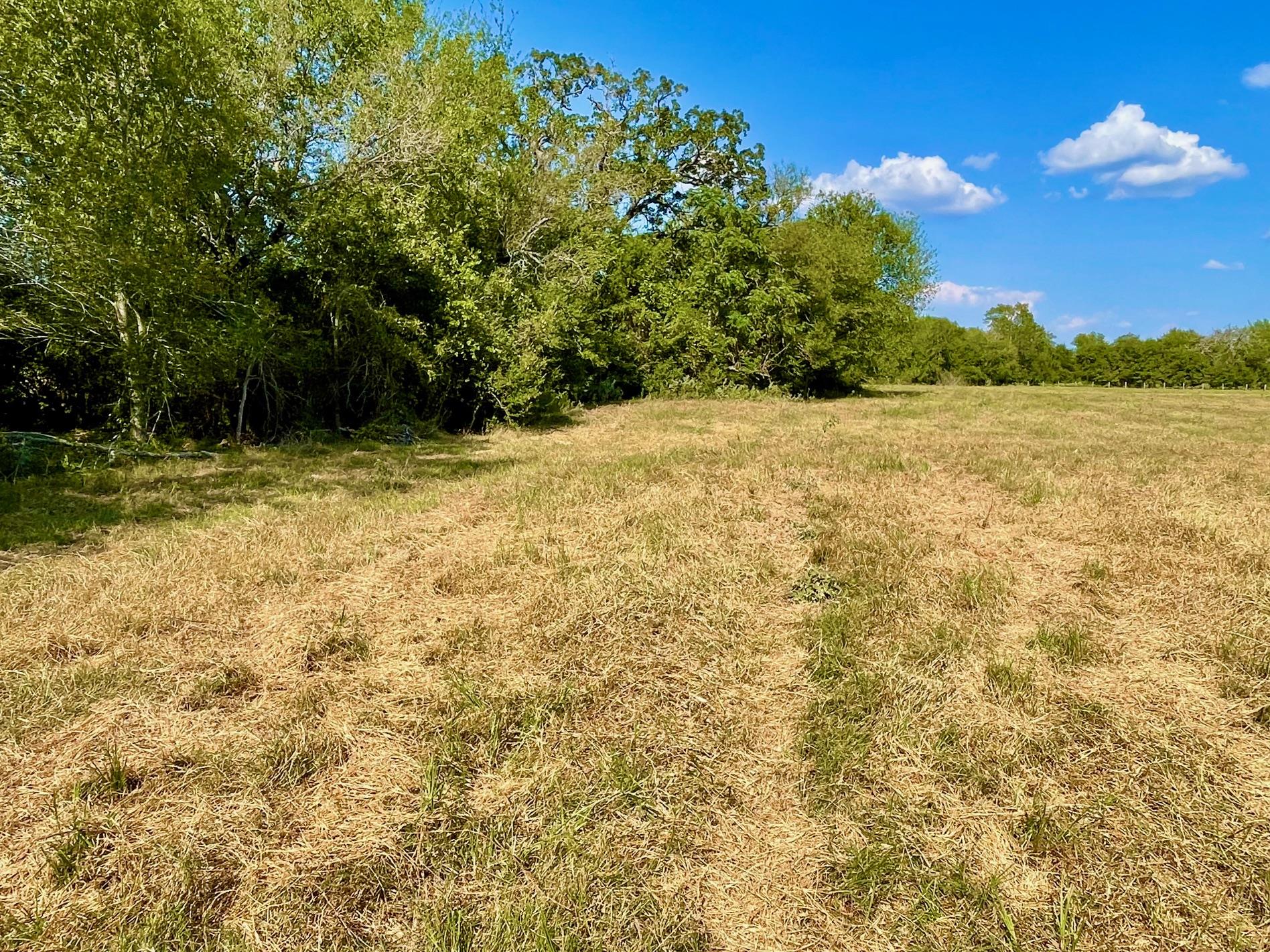 TBD Pleasant Grove Rd, Madisonville, TX 77872