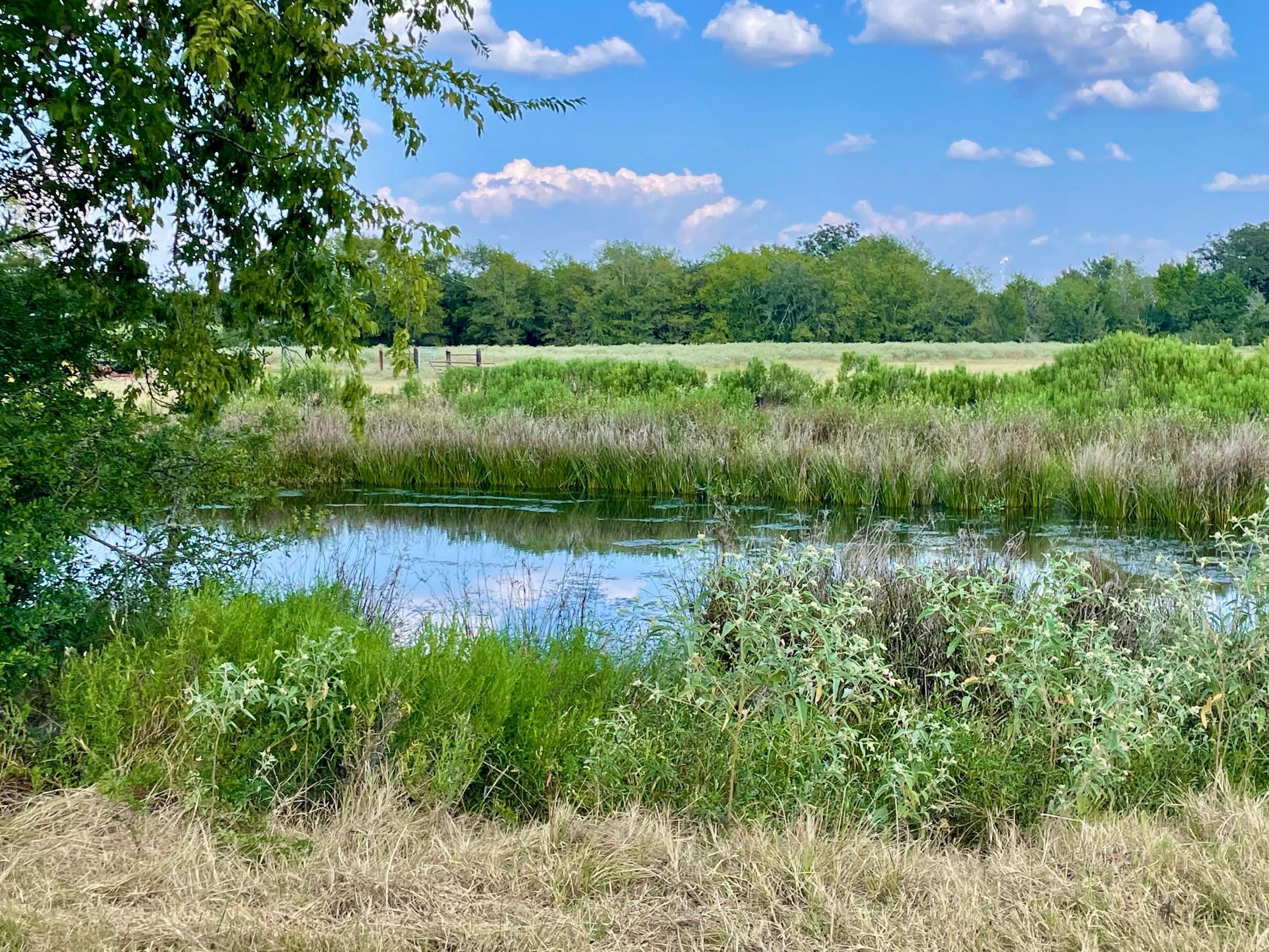 TBD Pleasant Grove Rd, Madisonville, TX 77872