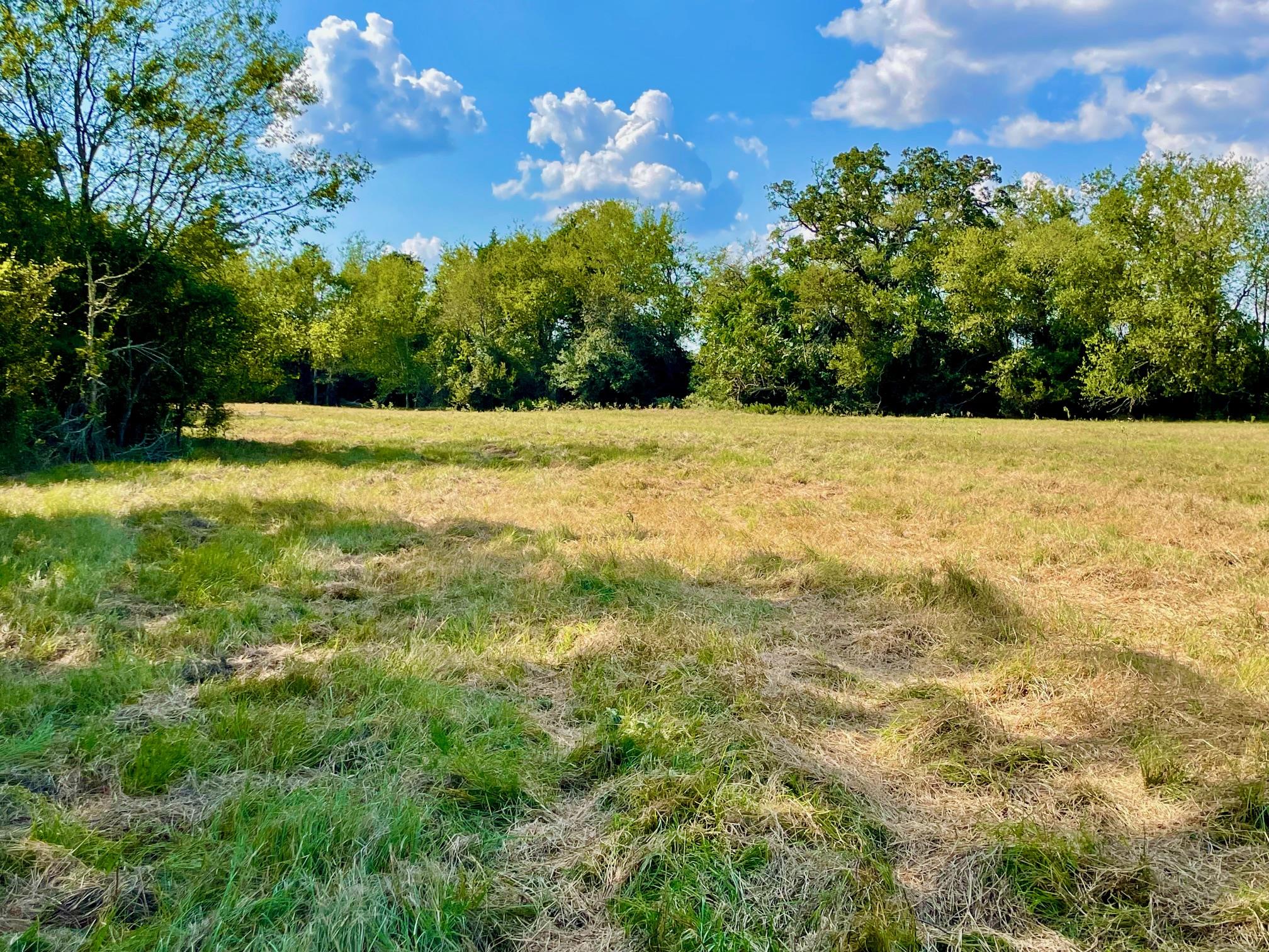 TBD Pleasant Grove Rd, Madisonville, TX 77872