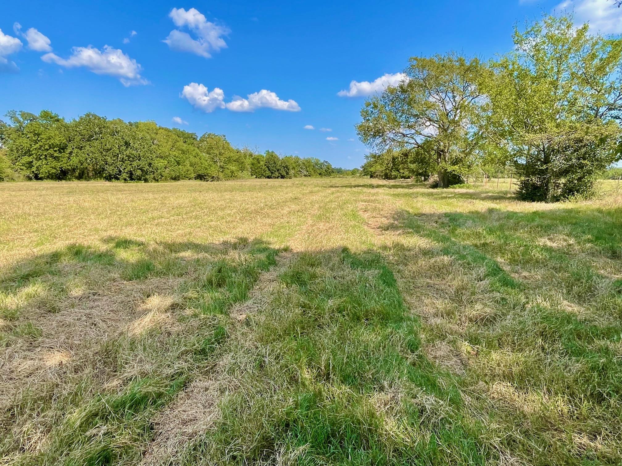 TBD Pleasant Grove Rd, Madisonville, TX 77872