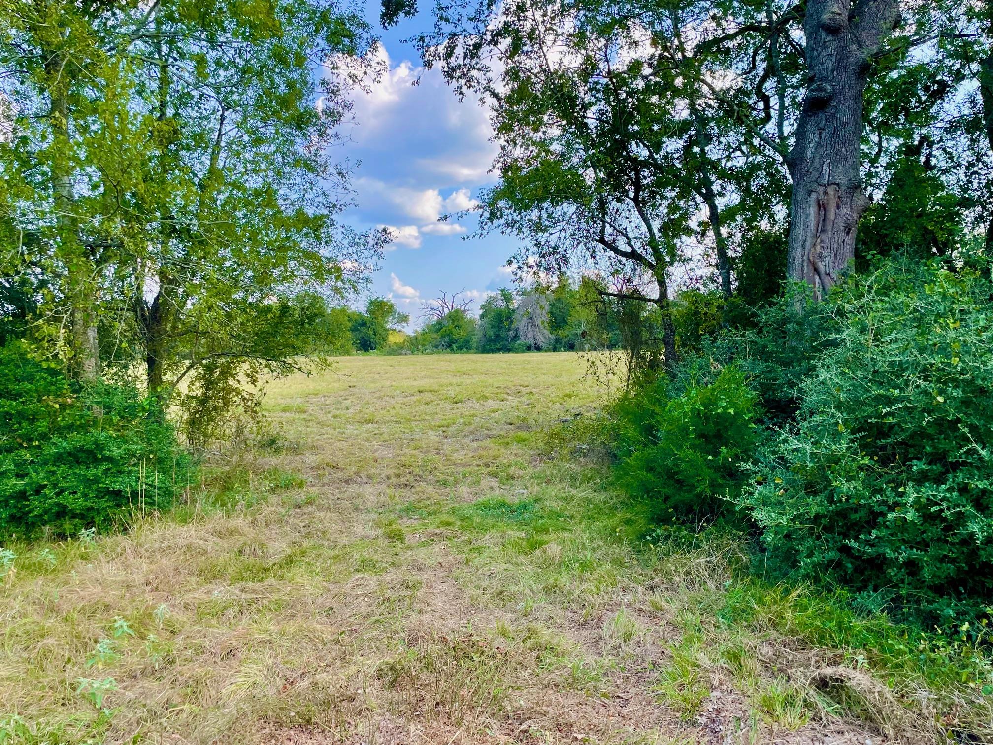 TBD Pleasant Grove Rd, Madisonville, TX 77872