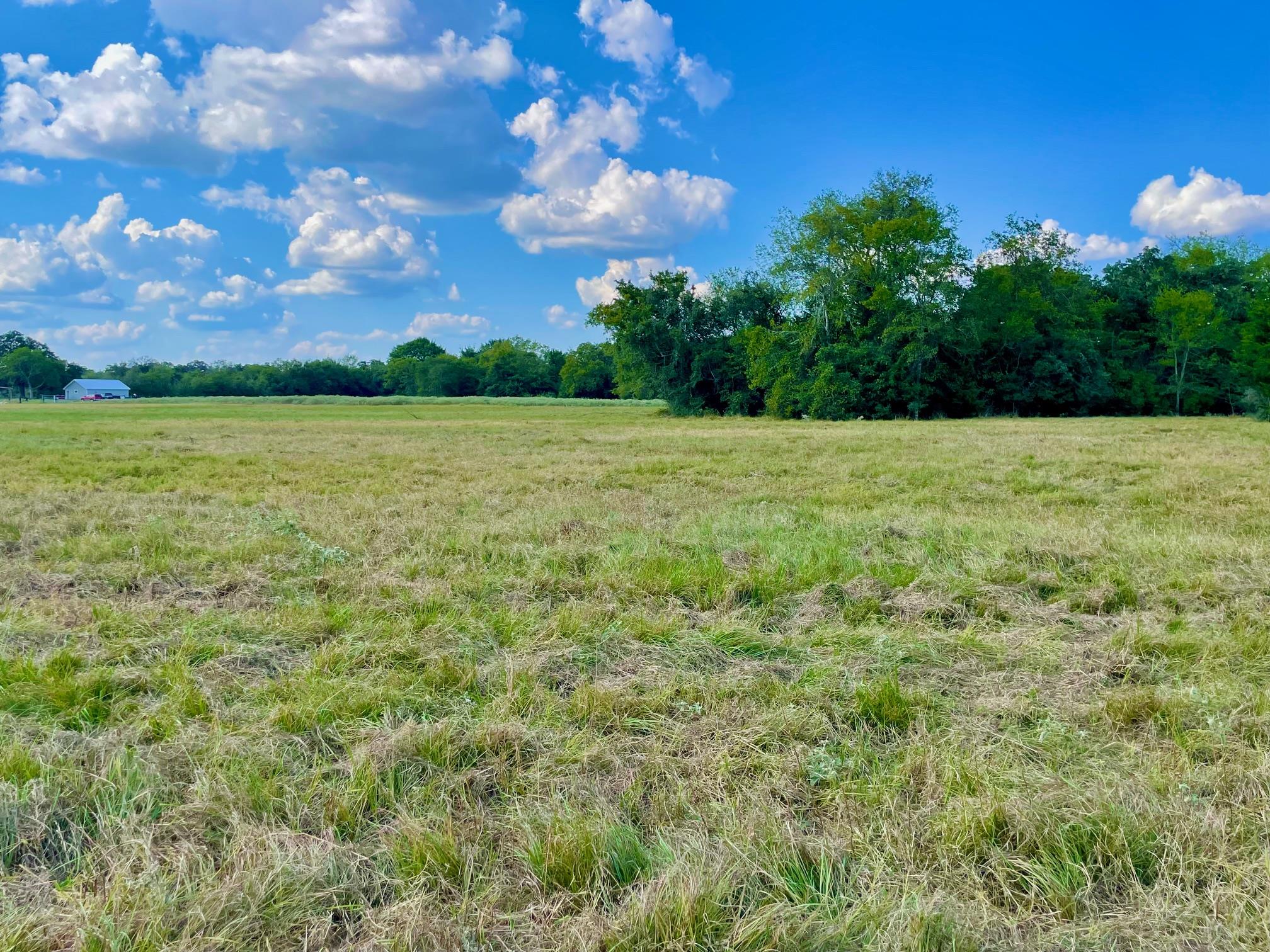 TBD Pleasant Grove Rd, Madisonville, TX 77872