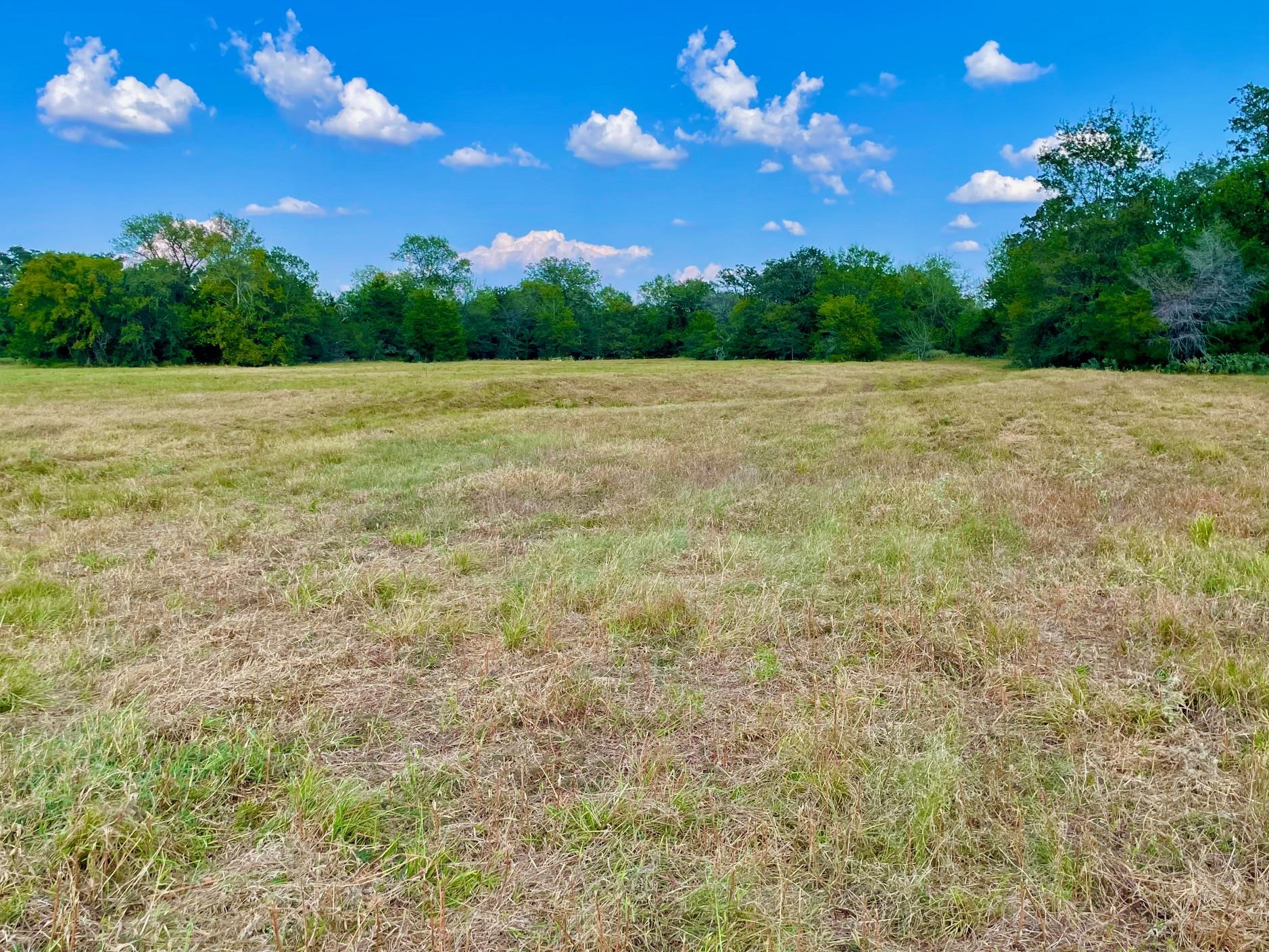 TBD Pleasant Grove Rd, Madisonville, TX 77872