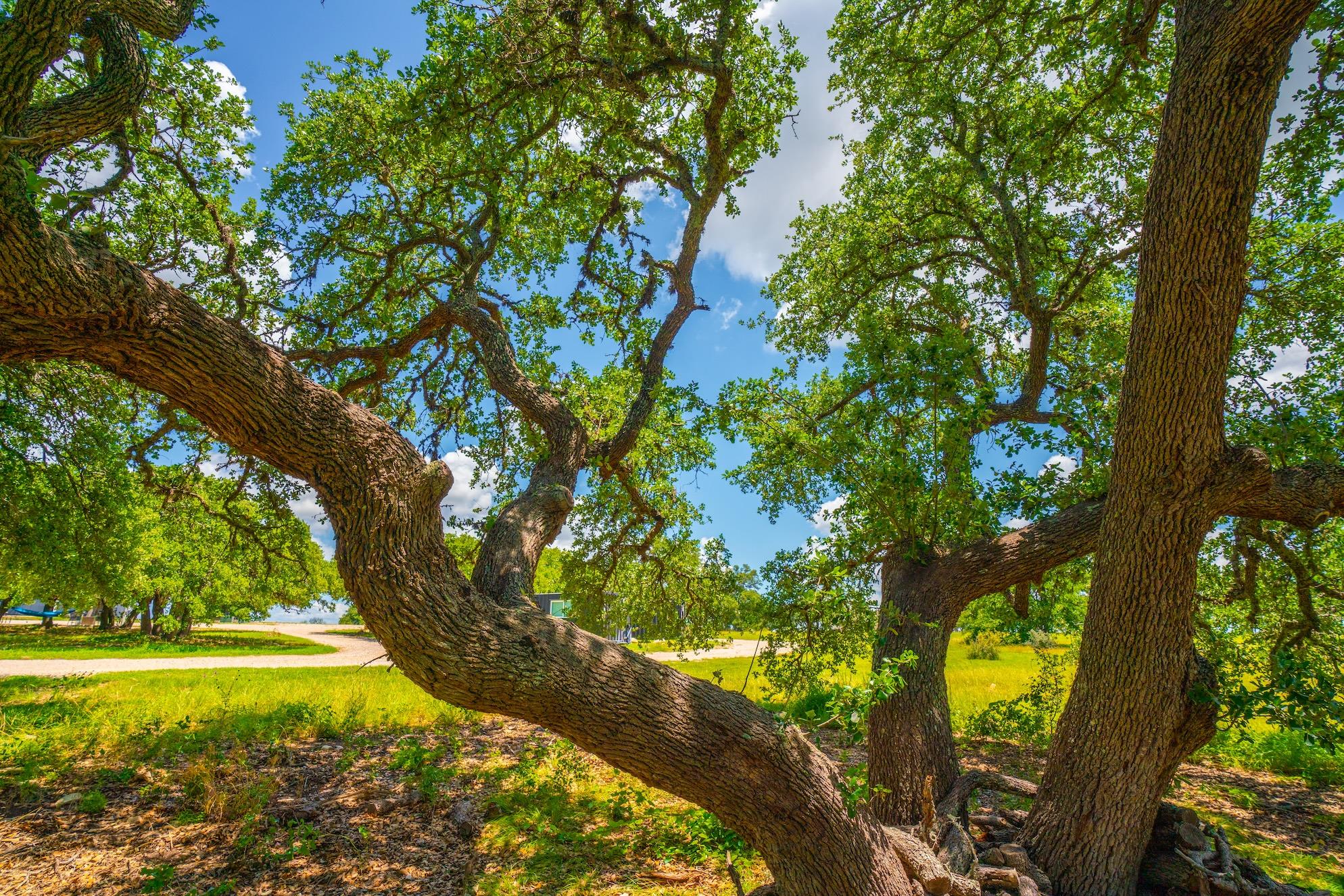 8502 E Us 290, Johnson City, TX 78636