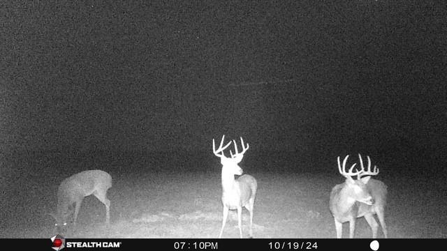 18601 County Road 214, Brookesmith, TX 76827