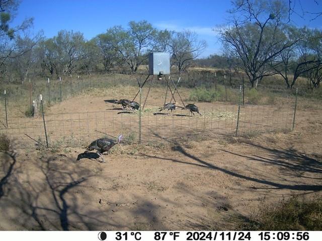 18601 County Road 214, Brookesmith, TX 76827