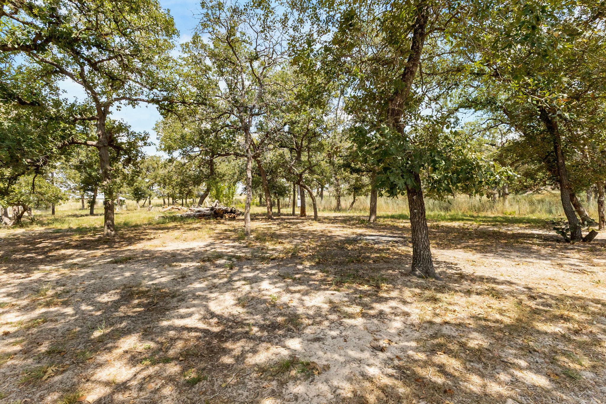 161 High Point Rdg, Seguin, TX 78155
