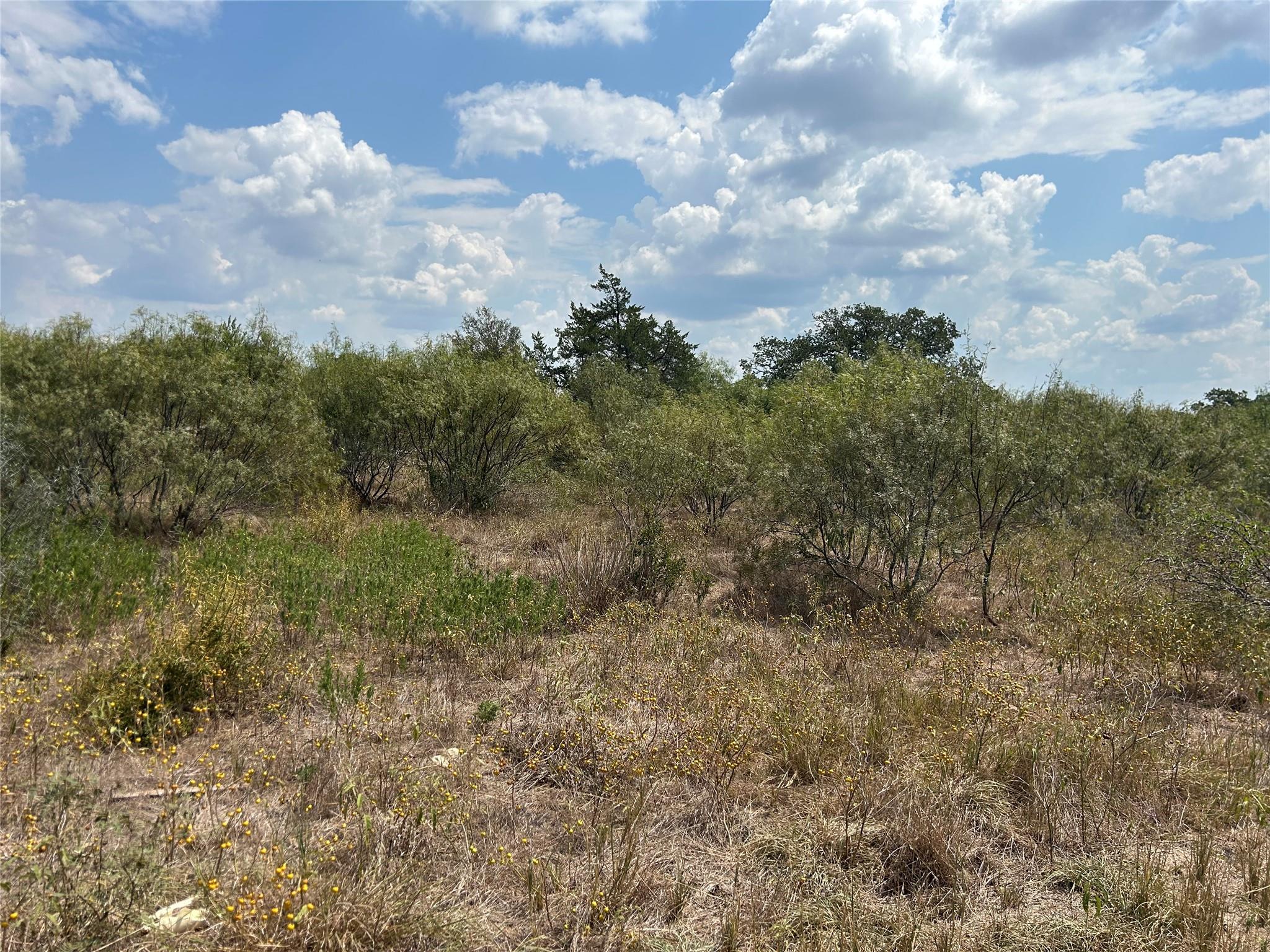 303 Walter Hoffman Rd, Cedar Creek, TX 78612