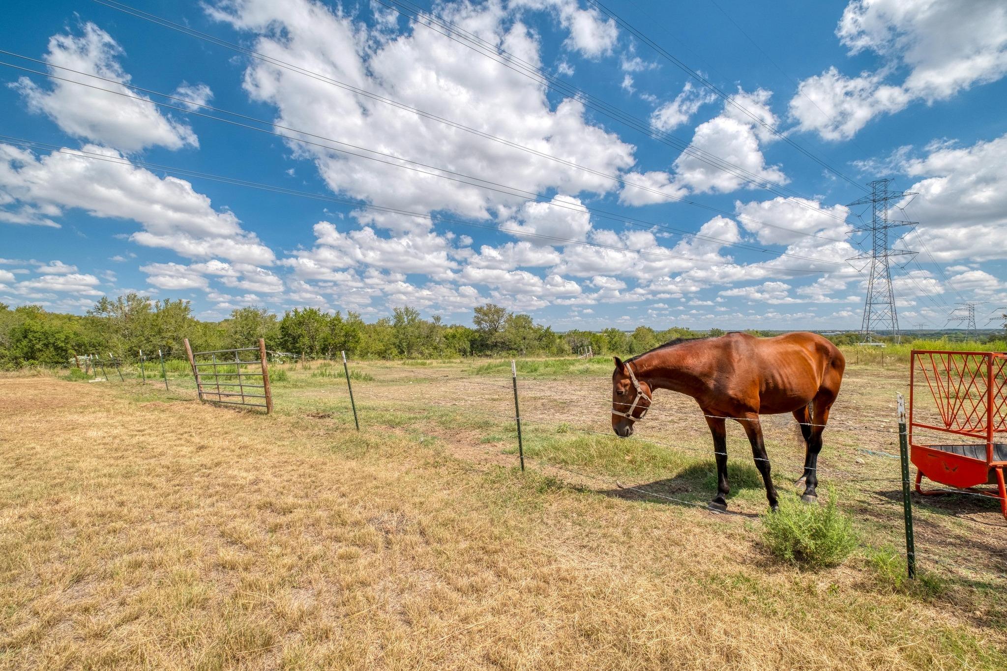 150 Uriah Dr, Elgin, TX 78621