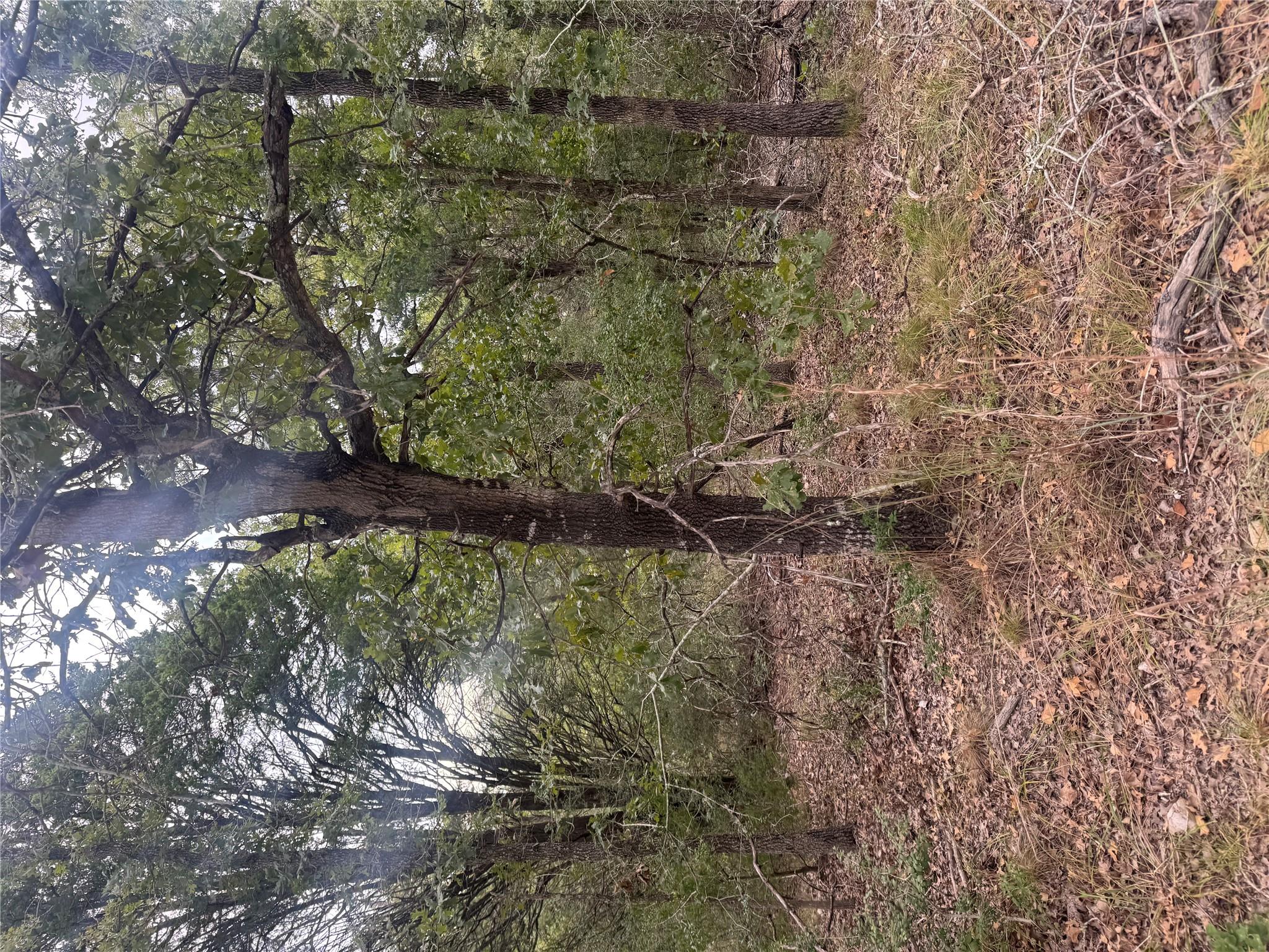 Lot 6 Spruce St, Paige, TX 78659