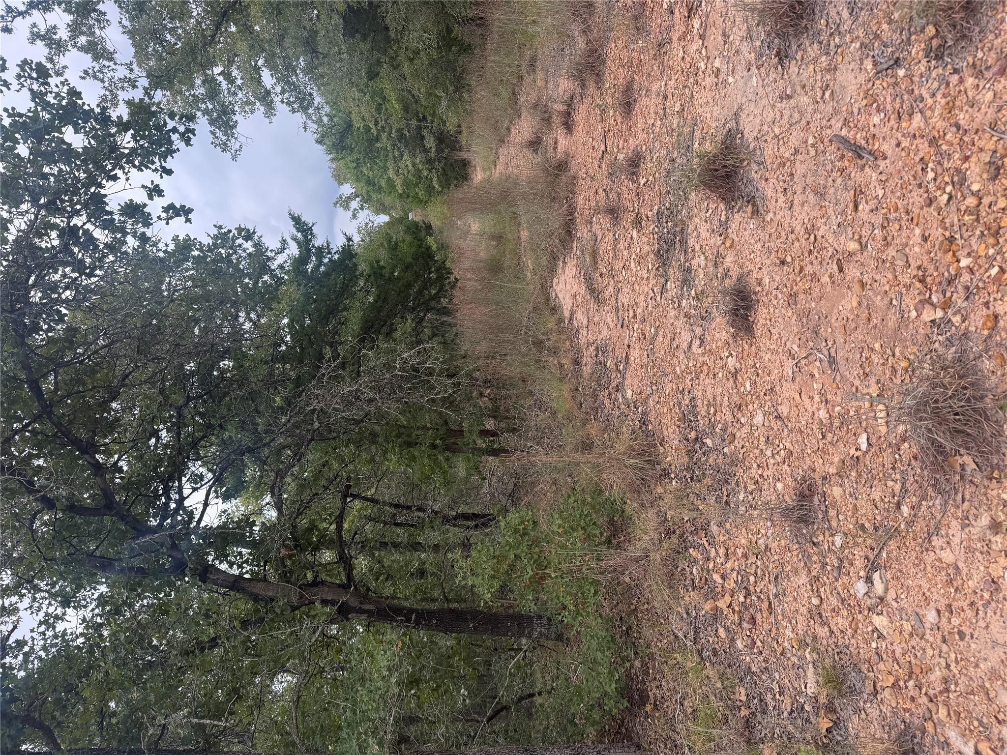 Lot 6 Spruce St, Paige, TX 78659