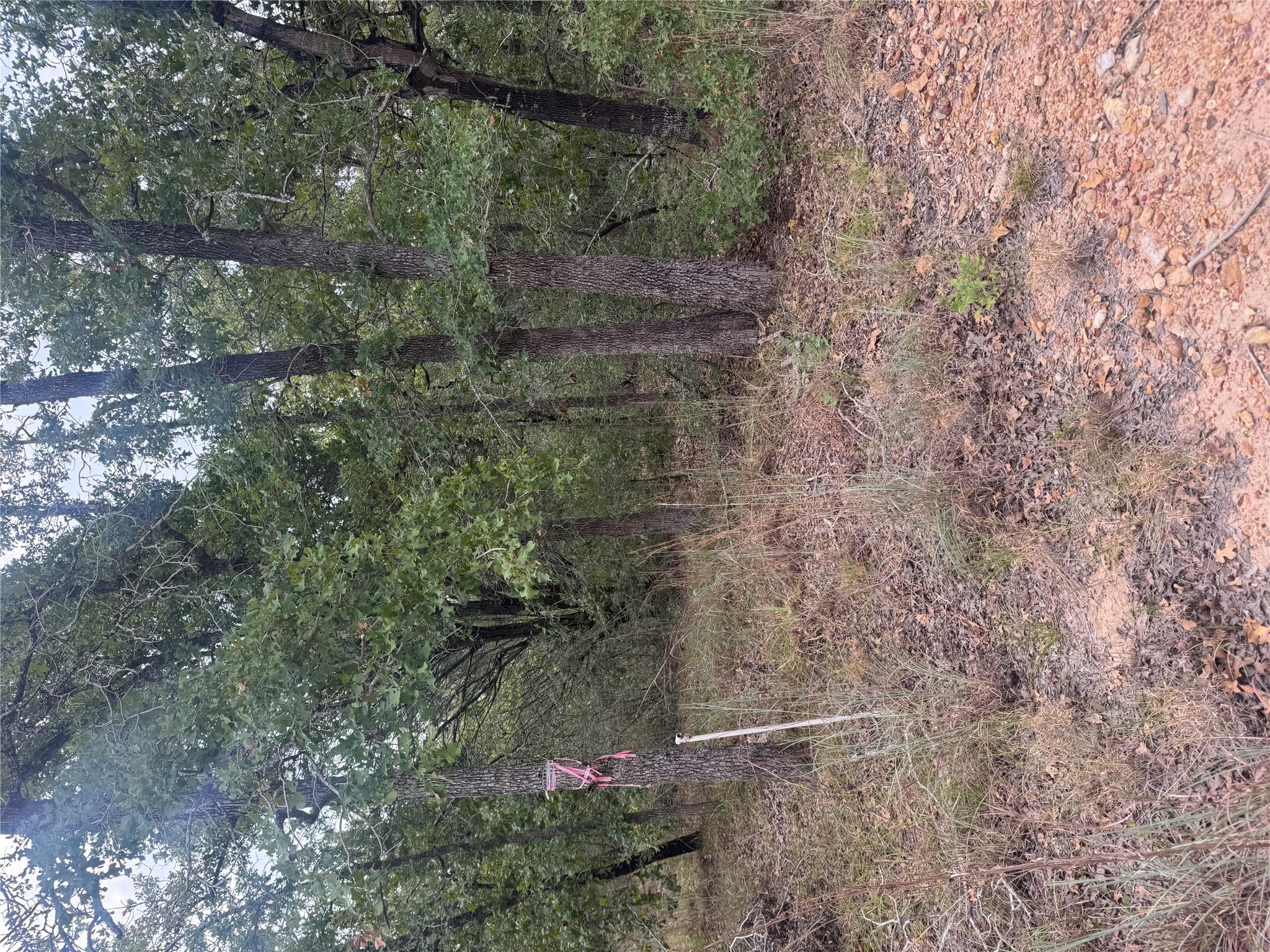 Lot 6 Spruce St, Paige, TX 78659