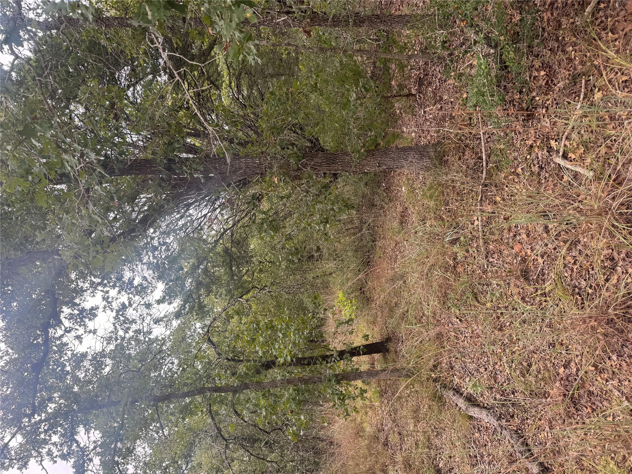 Lot 6 Spruce St, Paige, TX 78659