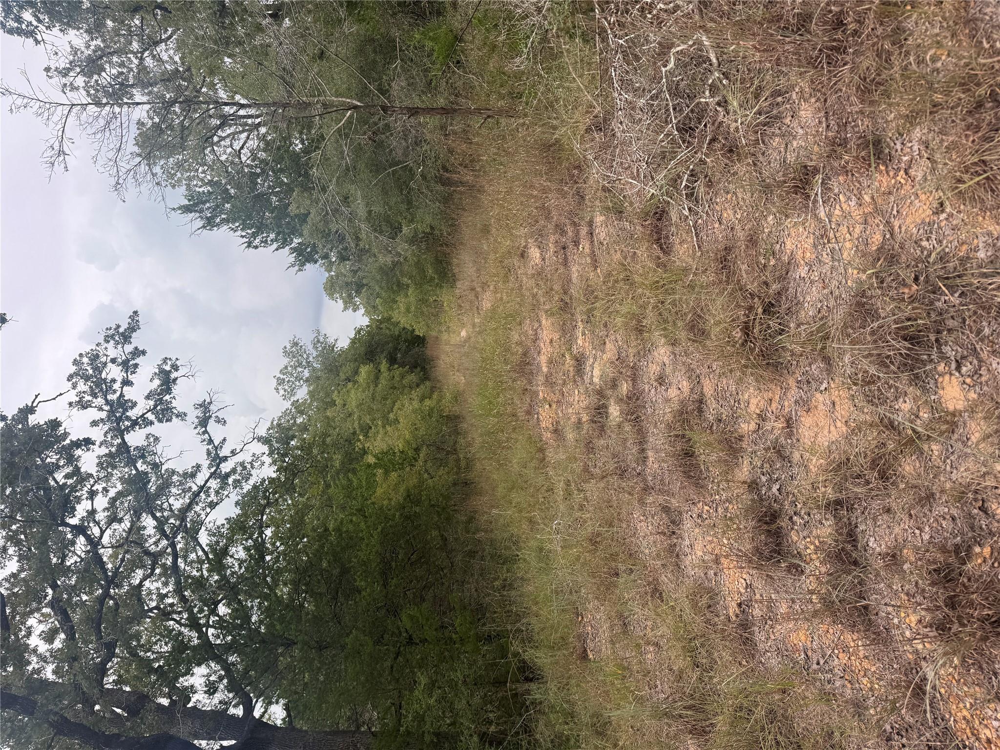 Lot 6 Spruce St, Paige, TX 78659